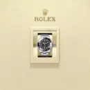 Rolex Deepsea, 44mm, Ref 136660-0004