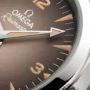 Seamaster Railmaster 38 mm, steel on steel Ref. 235.10.38.20.13.001