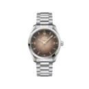 Seamaster Railmaster 38 mm, steel on steel Ref. 235.10.38.20.13.001