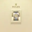 Rolex Oyster Perpetual 41 Ref. M134300-0007