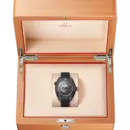 Seamaster Planet Ocean 600M 45.5 mm Ref. 215.92.46.22.01.007