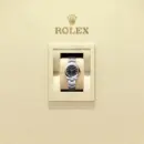 Rolex Oyster Perpetual 28 Ref. M276200-0010