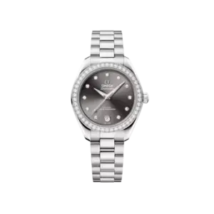 Seamaster Aqua Terra 150M 30 mm, steel on steel Ref. 220.15.30.20.56.001